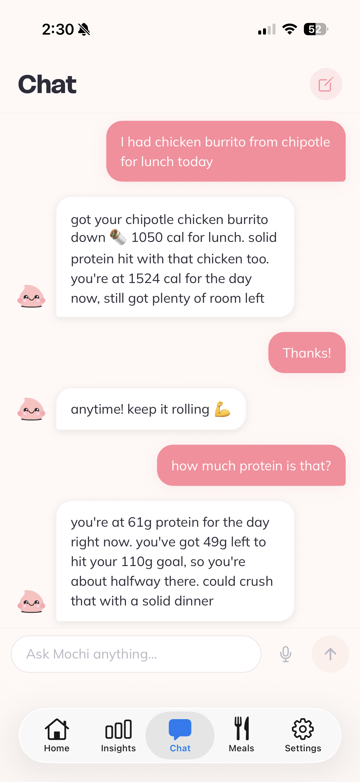 Chat with Mochi